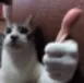 okaybigguy