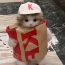 kfccat