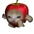 Applecatrun