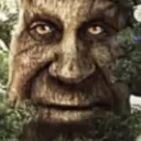 WiseMysticalTree