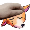 MrB_Pats