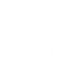 minevision