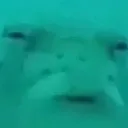 huh