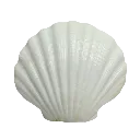 Seashell_I_Think Discord Emoji