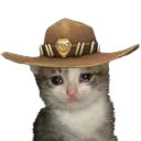 cass_sadcatt Discord Emoji