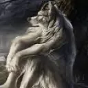 werewolfbynight