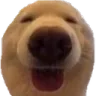 kassie