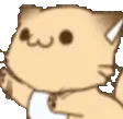 kittygogo kittygogo