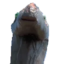 DinoDerp