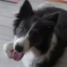 BlooHapp