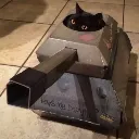 tankcat