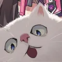 NeroCat