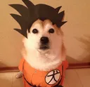 gokudog