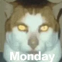 monday