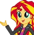 ssexplains ssexplains