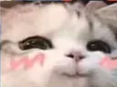 Smuguwu