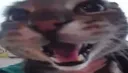 MREOW