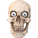 mentallyillskull