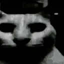 evilkotk