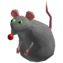 rat