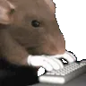 ratting