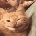 OrangeSmile