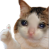 SadCatOk_ParadoxPaws Discord emoji