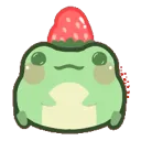 2023summer_frogberry