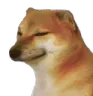 dogeHmm