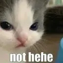 p_nothehecat Discord Emoji