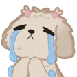 cry_112