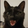 CatExcited_ParadoxPaws Discord emoji