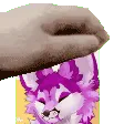 MarniePet