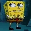 spongie