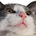 emoji_117