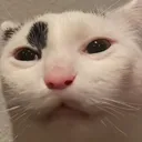 ew