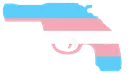 Tran_Gun
