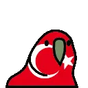 TurkeyParrotDance