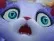 shooki