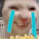 weirdcat5 weirdcat5