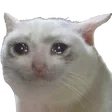 nukeshMu