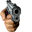 Gun