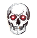 skull