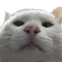 xx_kittytatestare Discord emoji