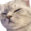 xx_kittydisgust Discord emoji