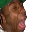 tylerscreamcry