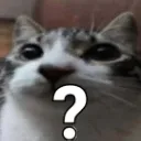 catnani