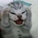 imgoinginsane