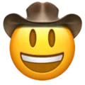 cowboyhatface_1f920