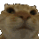 Catno catno Discord Emoji